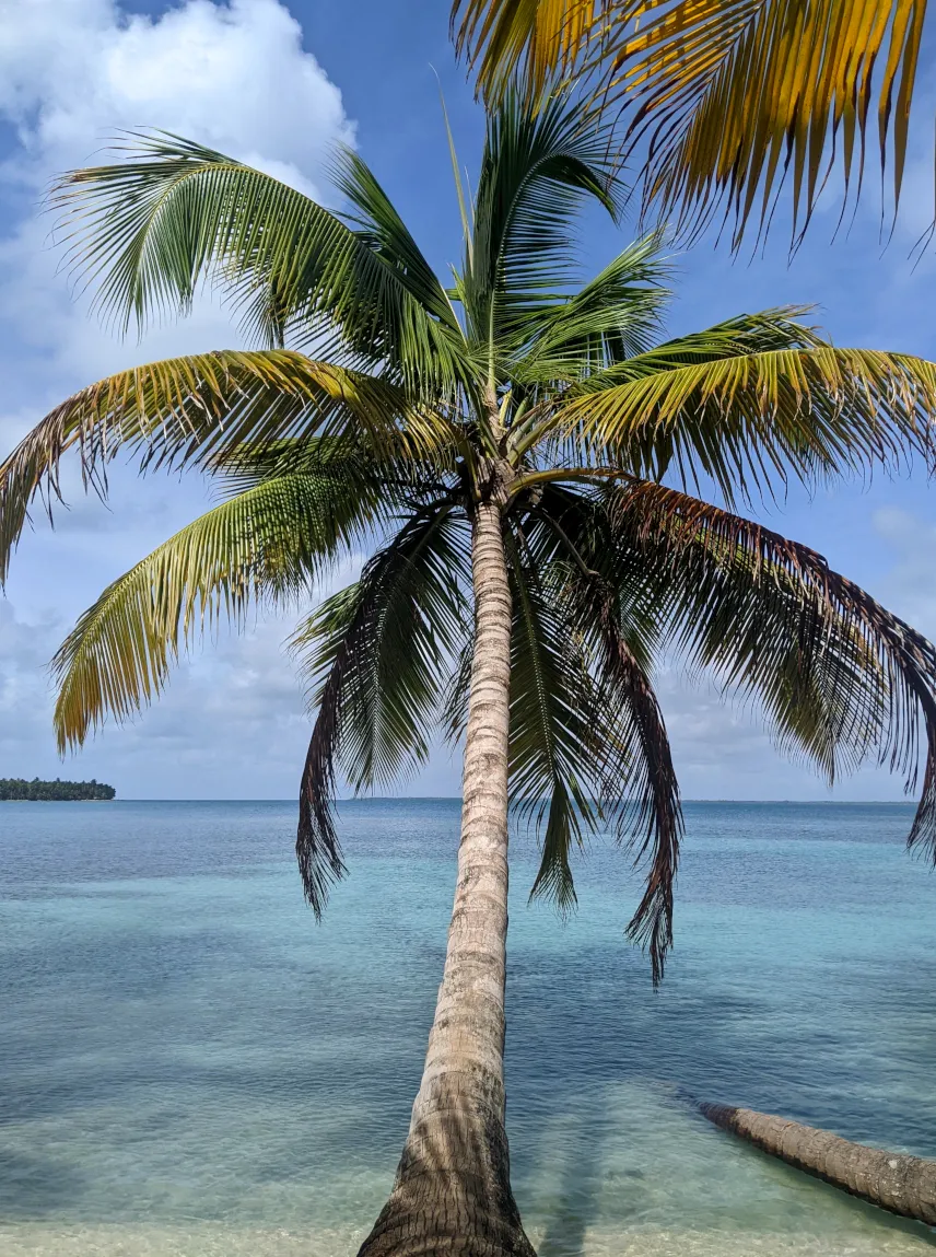 Picture of Beach on the Pearl Cays