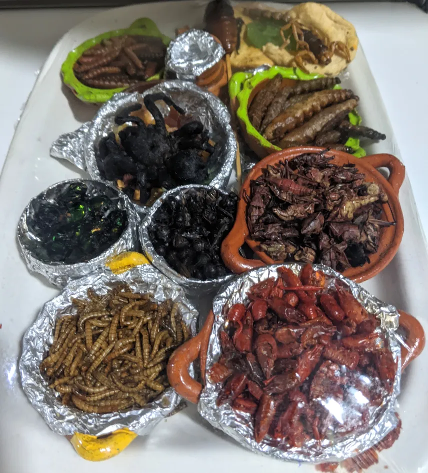 Picture of insect sampler at San Juan Market