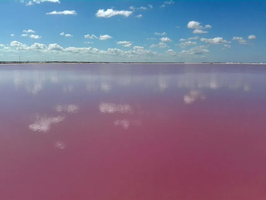 Picture of Pink Lakes of Las Coloradas