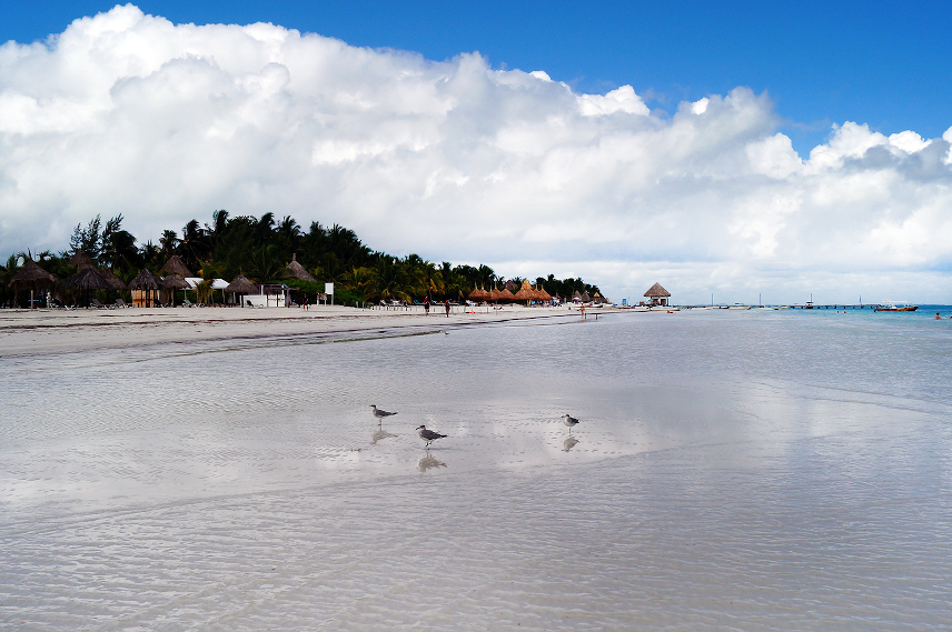 Picture of Holbox