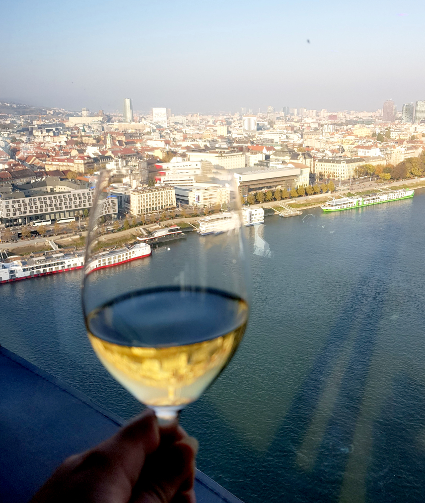 Picture of glass of white wine with view of Bratislava