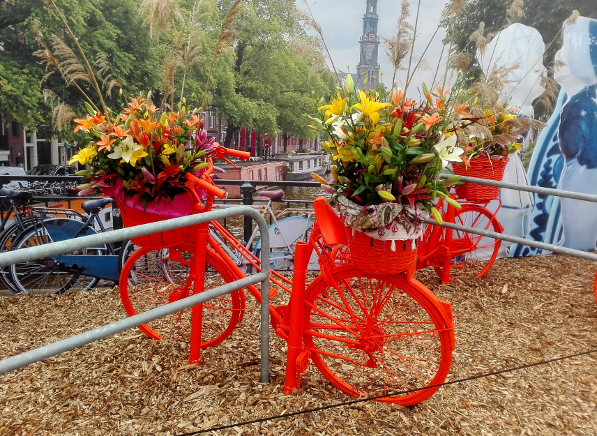 Picture of bike with flowers in Amsterdam, the Netherlands