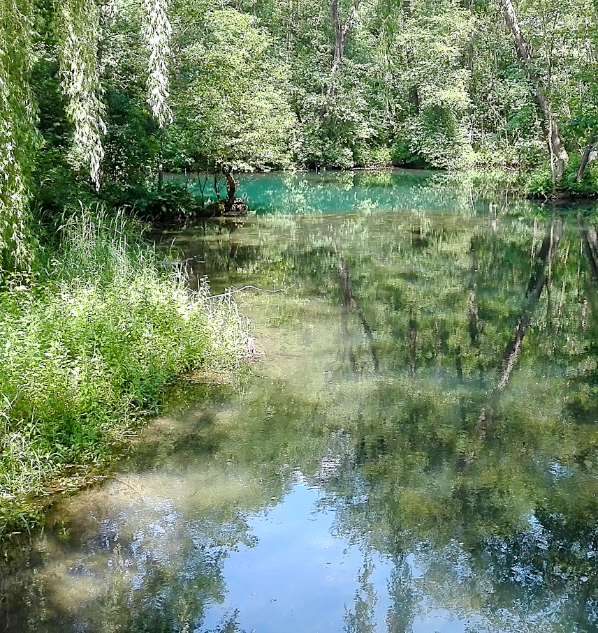 Picture of Rhume spring