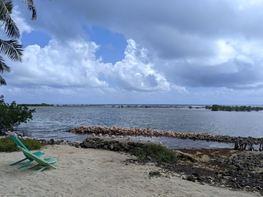 Picture of Tobacco Caye
