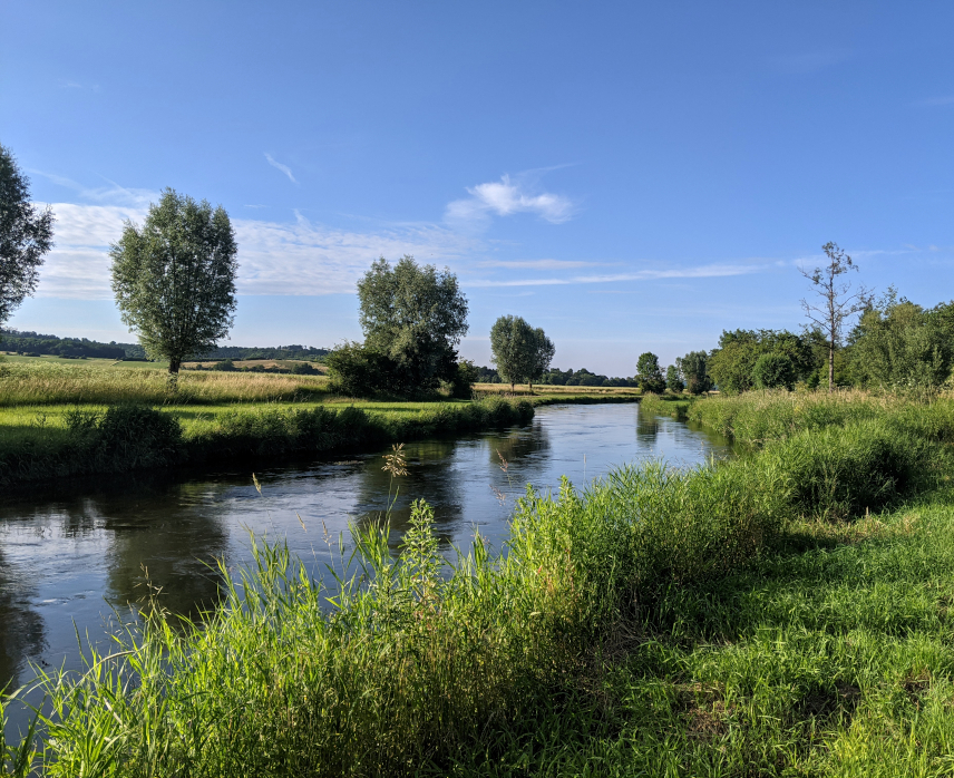 Picture of Leine River, Northeim