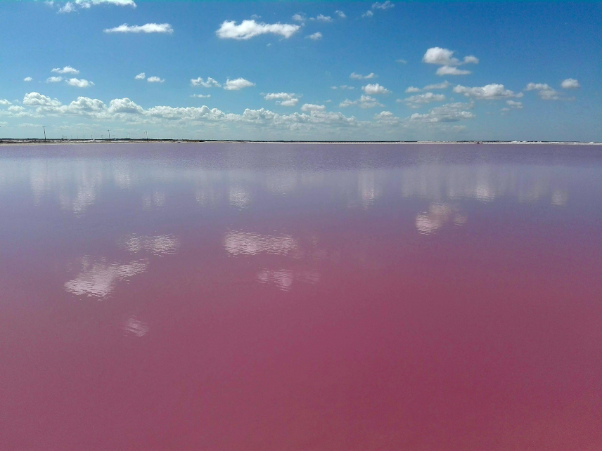 Picture of the pink lakes of Las Coloradas