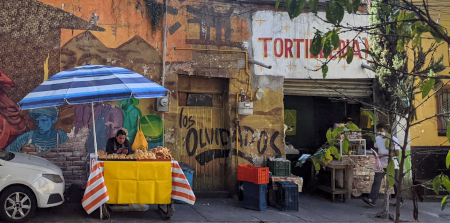15 Unique things to do in Mexico City - recommended by a local